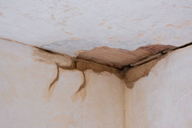 Best Ceiling water damage repair  in Elkton, KY