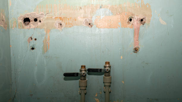 Best Emergency water damage restoration  in Elkton, KY