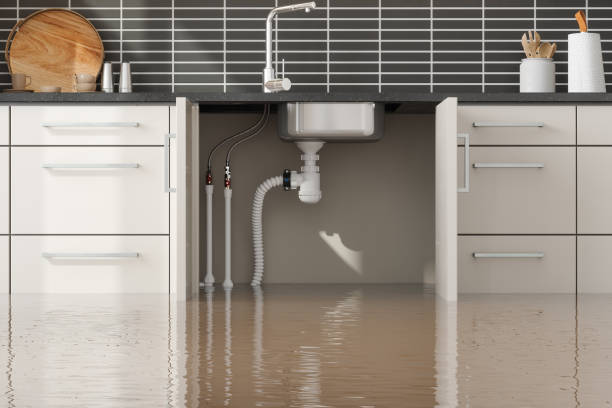 Best Water damage contractors near me  in Elkton, KY