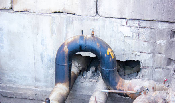 Best Carpet water damage restoration  in Elkton, KY